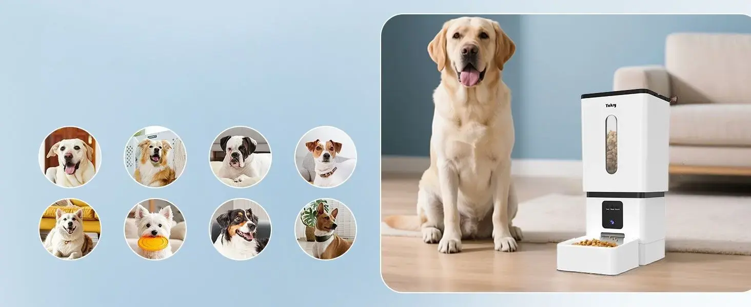 Yakry Automatic Cat Feeder (1)
